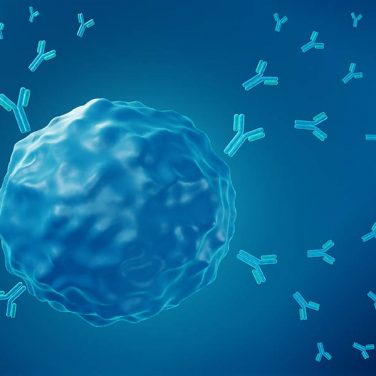 B cell releasing antibodies, 3d illustration